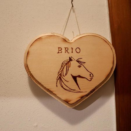 Passion Horse'S House Fc Bed & Breakfast วิกอนซา ภายนอก รูปภาพ