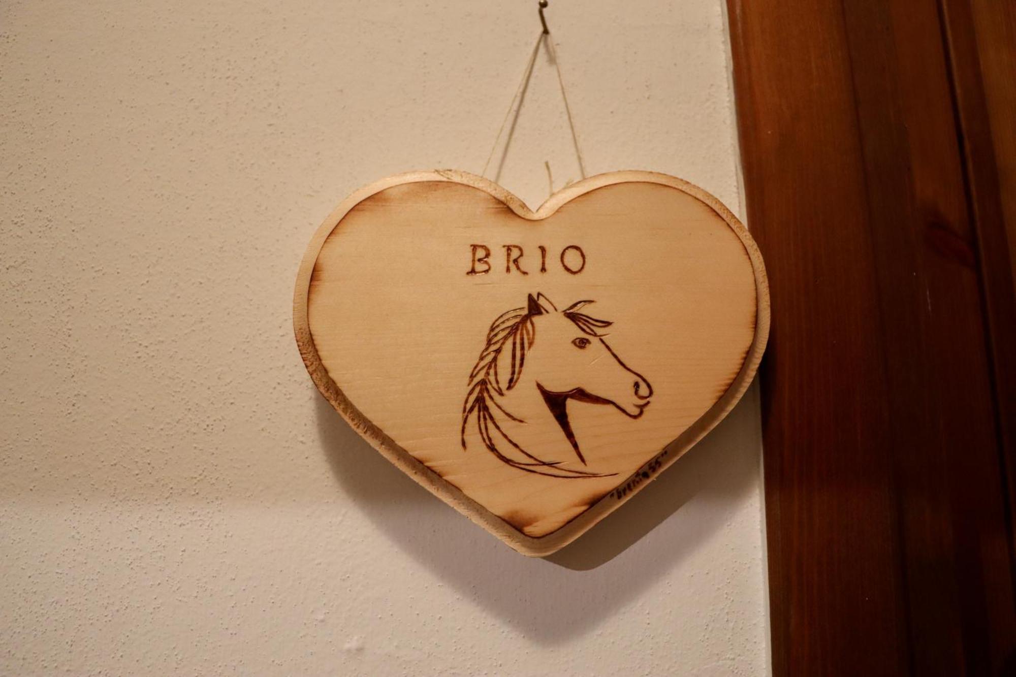 Passion Horse'S House Fc Bed & Breakfast วิกอนซา ภายนอก รูปภาพ